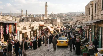 شركة برمجيات في ادلب
