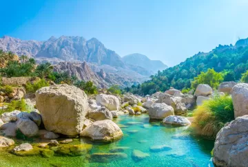 أفضل شركة تصميم مواقع في سلطنة عُمان